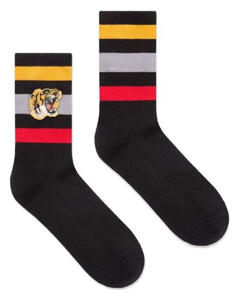 gucci cat socks|Gucci socks tiger black.